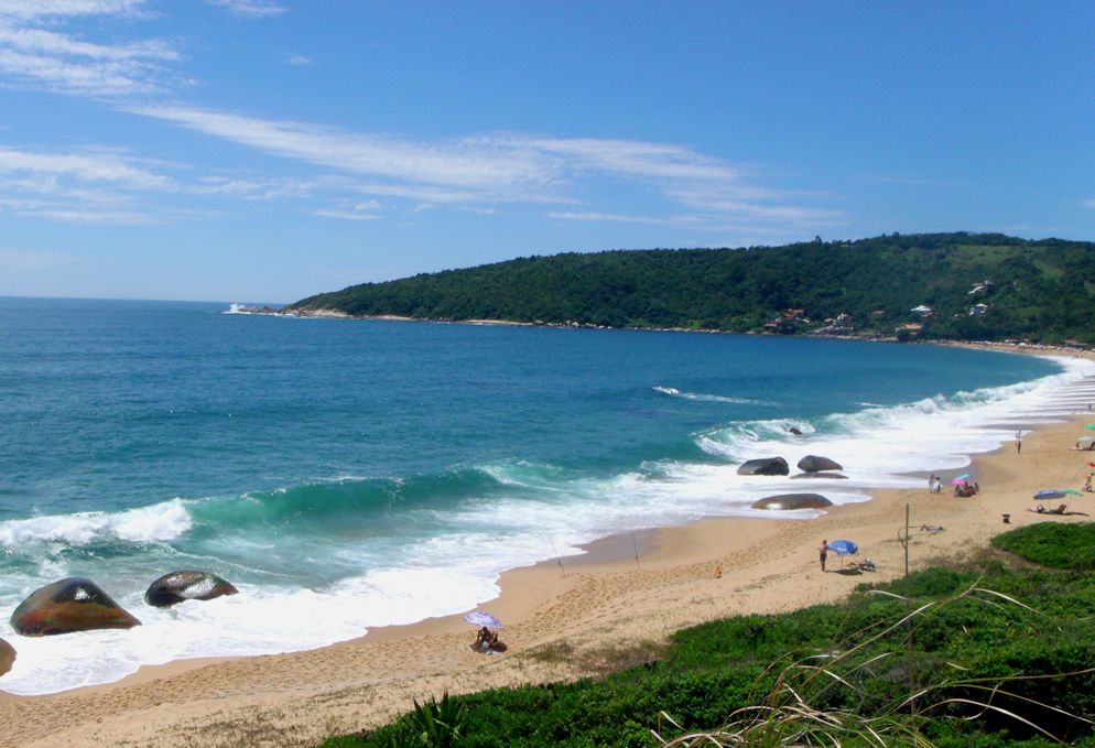 Praia com mar verde e mata atlântica ao longo da Avenida Interpraias
